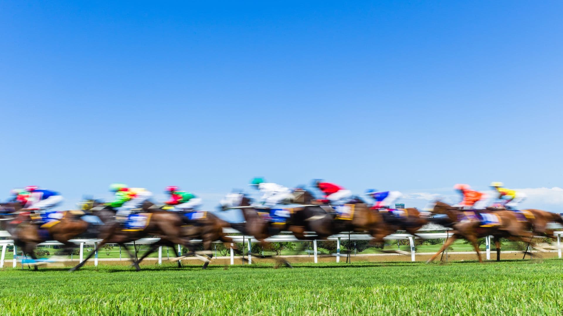 Pick Your Jockeys